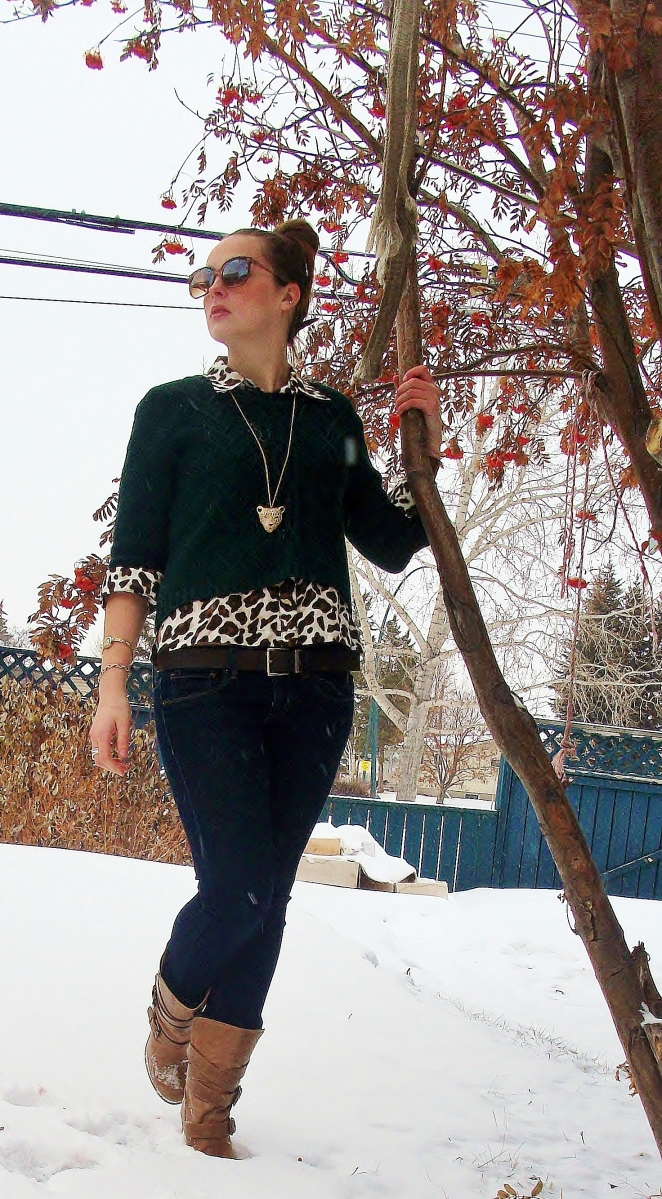 leopard shirt under hunter green cable knit sweater